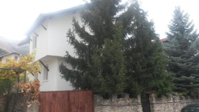  Guest House Khizhina  Сапарева-Баня